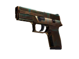 P250 | Verdigris (Field-Tested)